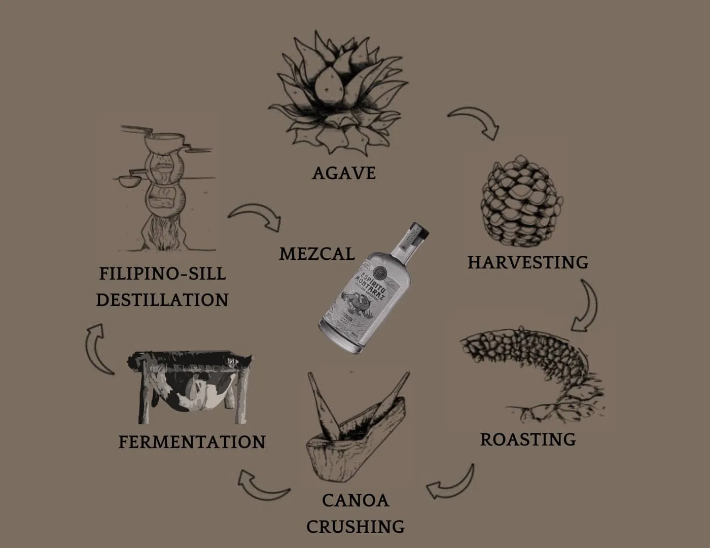 Mezcal ancestral process step by step explaination